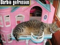 Barbie gefressen...