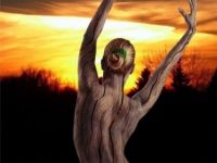 Aus Holz