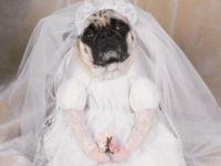 Könntest du mich heiraten?