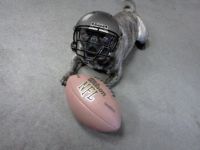 Footballer