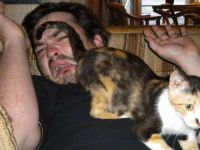 Bääh Katze