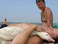 Kuscheln mit einer Gans