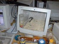 Cooler Käfig