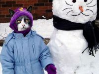 Süße Schneekatze