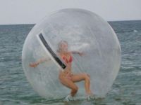 Wasserball