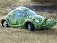 Schildkröten Auto