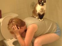 Fiese Katze