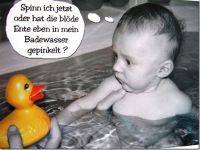 Quietscheente ist nicht stubenrein