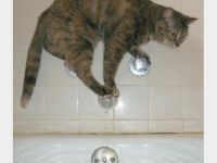 Wir lassen das lieber mit den Baden