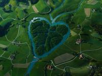 Herzfluss