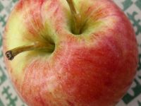 Apple CoreDuo