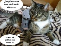 Katz und Maus Kuscheltier