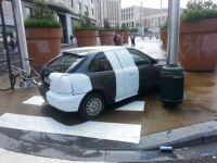 Chamäleon-Auto