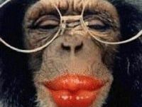 Affe mit Lippenstift