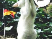 Katze ist für Deutschland