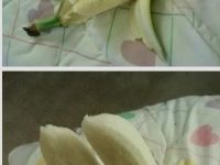 Zwei Bananen in einer