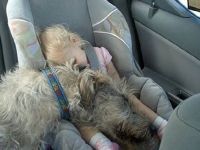 Kuschelrunde