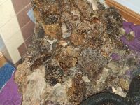 Bienennest im Kamin