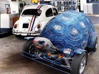 Schildkröte Auto