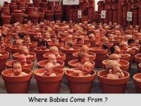Woher kommen Babies?