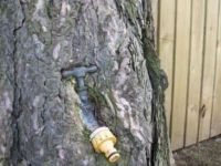 Naturverbunden