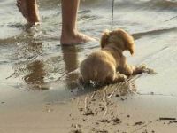 Spaziergang am Strand
