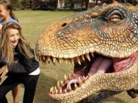 Dino
