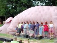 Schweinisches Partyspiel