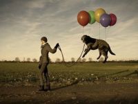 Fliegender Hund.