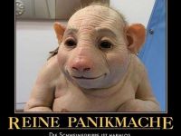 Schweinegrippe