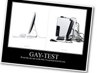 Gay Test