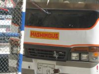 Haschimbus
