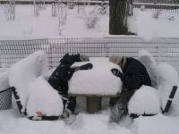 Schlafen im Schnee