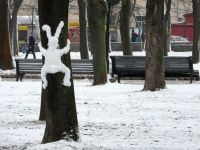 Schneehase