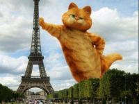 Garfield in Paris