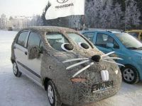 Maus  Auto