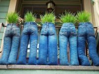 Jeans Töpfe