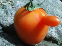 Tomate mal ganz anders