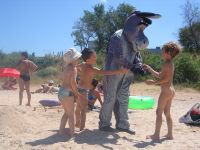 Der Esel am Strand