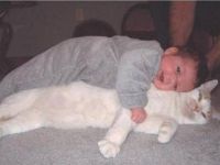 Schmusen mit der Katze
