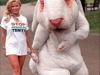 Stop Animal Tests