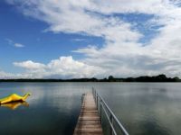 Foto vom Loch Ness Monster