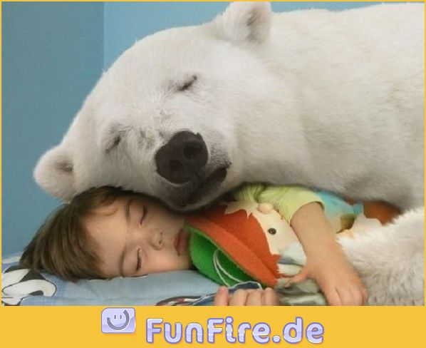 Mit Eisbär kuscheln