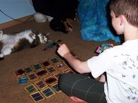 Yu-Gi-Oh gegen Katze
