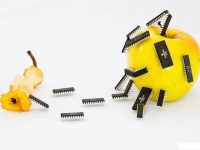 Apfelvirus