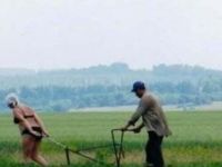 Feldarbeit