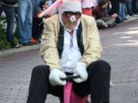 Bunnys Race