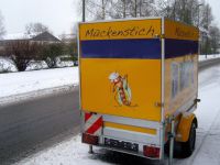 Mückenstich