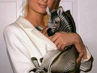 Neuer Freund von Paris Hilton