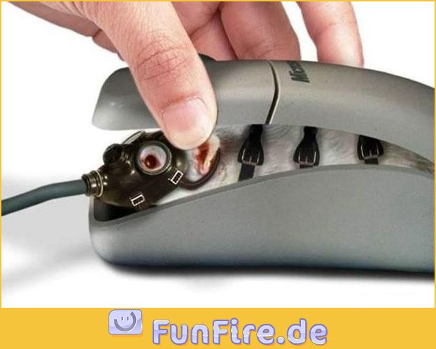 Das innenleben einer PC Maus